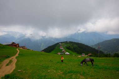 Türkiye 'nin Pokut Masa Diyarı bölgesindeki tepedeki kır evleri mavi gökyüzü ve bulutlu.