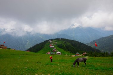 Türkiye 'nin Pokut Masa Diyarı bölgesindeki tepedeki kır evleri mavi gökyüzü ve bulutlu.