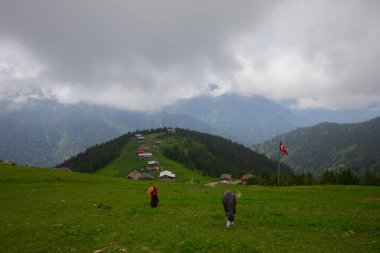 Türkiye 'nin Pokut Masa Diyarı bölgesindeki tepedeki kır evleri mavi gökyüzü ve bulutlu.