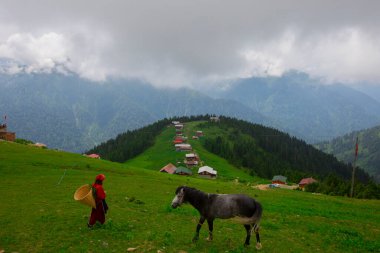 Türkiye 'nin Pokut Masa Diyarı bölgesindeki tepedeki kır evleri mavi gökyüzü ve bulutlu.
