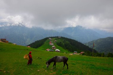 Türkiye 'nin Pokut Masa Diyarı bölgesindeki tepedeki kır evleri mavi gökyüzü ve bulutlu.