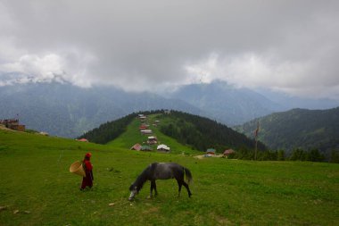 Türkiye 'nin Pokut Masa Diyarı bölgesindeki tepedeki kır evleri mavi gökyüzü ve bulutlu.