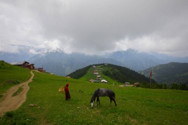 Türkiye 'nin Pokut Masa Diyarı bölgesindeki tepedeki kır evleri mavi gökyüzü ve bulutlu.
