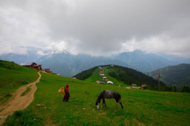 Türkiye 'nin Pokut Masa Diyarı bölgesindeki tepedeki kır evleri mavi gökyüzü ve bulutlu.