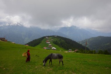 Türkiye 'nin Pokut Masa Diyarı bölgesindeki tepedeki kır evleri mavi gökyüzü ve bulutlu.