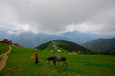 Türkiye 'nin Pokut Masa Diyarı bölgesindeki tepedeki kır evleri mavi gökyüzü ve bulutlu.