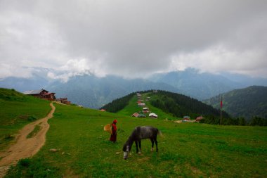 Türkiye 'nin Pokut Masa Diyarı bölgesindeki tepedeki kır evleri mavi gökyüzü ve bulutlu.