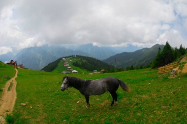 Türkiye 'nin Pokut Masa Diyarı bölgesindeki tepedeki kır evleri mavi gökyüzü ve bulutlu.