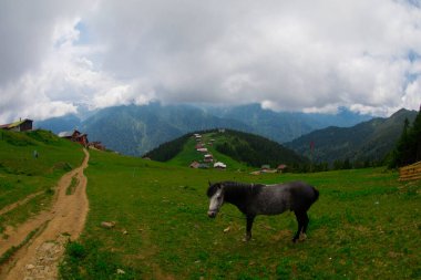 Türkiye 'nin Pokut Masa Diyarı bölgesindeki tepedeki kır evleri mavi gökyüzü ve bulutlu.