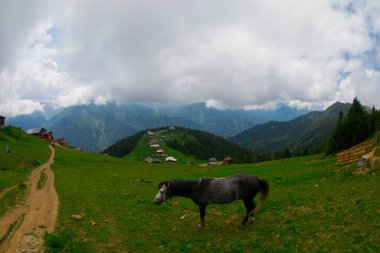 Türkiye 'nin Pokut Masa Diyarı bölgesindeki tepedeki kır evleri mavi gökyüzü ve bulutlu.