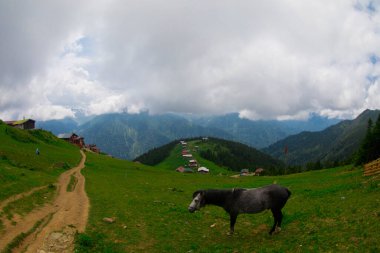 Türkiye 'nin Pokut Masa Diyarı bölgesindeki tepedeki kır evleri mavi gökyüzü ve bulutlu.