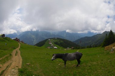 Türkiye 'nin Pokut Masa Diyarı bölgesindeki tepedeki kır evleri mavi gökyüzü ve bulutlu.