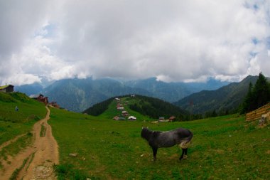 Türkiye 'nin Pokut Masa Diyarı bölgesindeki tepedeki kır evleri mavi gökyüzü ve bulutlu.