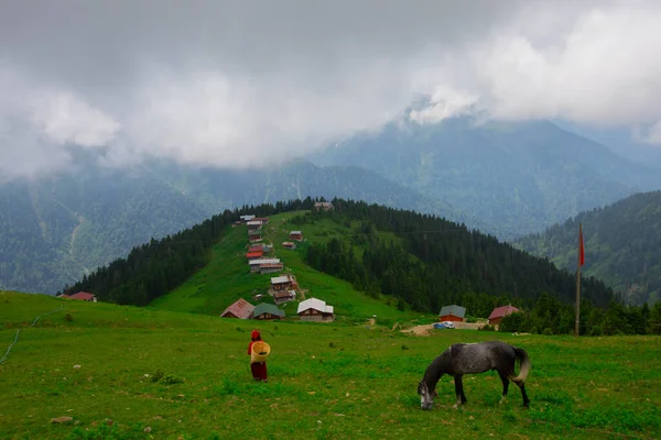 Domki Wzgórzu Pokut Tableland Region Leśny Turcji Niebieskim Niebem Chmurami — Zdjęcie stockowe