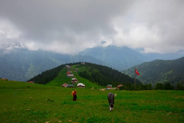 Εξοχικές Κατοικίες Στην Πλαγιά Του Λόφου Pokut Tableland Δασική Περιοχή — Φωτογραφία Αρχείου