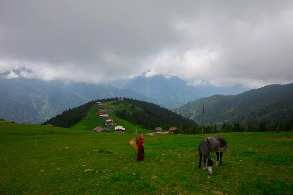 Domki Wzgórzu Pokut Tableland Region Leśny Turcji Niebieskim Niebem Chmurami — Zdjęcie stockowe