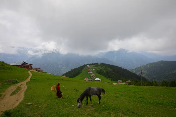 Domki Wzgórzu Pokut Tableland Region Leśny Turcji Niebieskim Niebem Chmurami — Zdjęcie stockowe