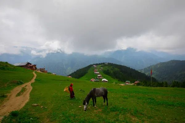 Cabañas Ladera Región Forestal Pokut Tableland Turquía Con Cielos Azules —  Fotos de Stock