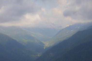 Dağlık arazide geleneksel ahşap evler. Manzara fotoğrafı Türkiye 'nin Pokut, Rize, Karadeniz / Karadeniz bölgesinde çekildi. Pokut, Rize 'nin en yüksek rakımlı tatil beldelerinden biridir..