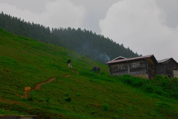 Pokut Plateau Rize Camlihemsin Pokut Płaskowyżu Morzu Czarnym Turcji Rize — Zdjęcie stockowe