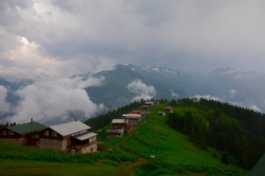 Pokut Platosu Rize Camlihemsin, Pokut Platosu Karadeniz ve Türkiye. Rize, Türkiye.