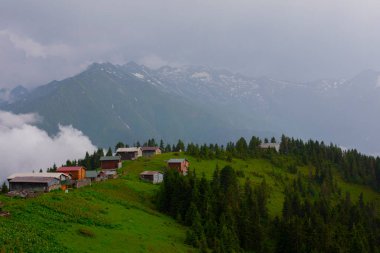 Pokut Platosu Rize Camlihemsin, Pokut Platosu Karadeniz ve Türkiye. Rize, Türkiye.
