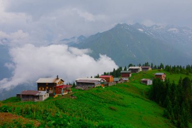 Pokut Platosu Rize Camlihemsin, Pokut Platosu Karadeniz ve Türkiye. Rize, Türkiye.