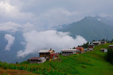 Pokut Platosu Rize Camlihemsin, Pokut Platosu Karadeniz ve Türkiye. Rize, Türkiye.