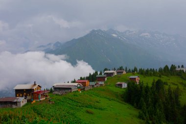 Pokut Platosu Rize Camlihemsin, Pokut Platosu Karadeniz ve Türkiye. Rize, Türkiye.
