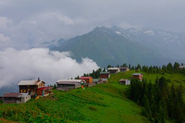 Pokut Platosu Rize Camlihemsin, Pokut Platosu Karadeniz ve Türkiye. Rize, Türkiye.