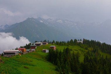 Pokut Platosu Rize Camlihemsin, Pokut Platosu Karadeniz ve Türkiye. Rize, Türkiye.