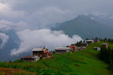 Pokut Platosu Rize Camlihemsin, Pokut Platosu Karadeniz ve Türkiye. Rize, Türkiye.