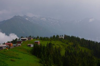 Pokut Platosu Rize Camlihemsin, Pokut Platosu Karadeniz ve Türkiye. Rize, Türkiye.