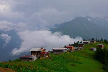 Pokut Platosu Rize Camlihemsin, Pokut Platosu Karadeniz ve Türkiye. Rize, Türkiye.