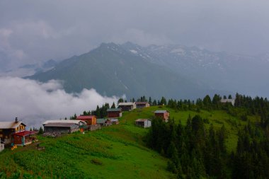 Pokut Platosu Rize Camlihemsin, Pokut Platosu Karadeniz ve Türkiye. Rize, Türkiye.