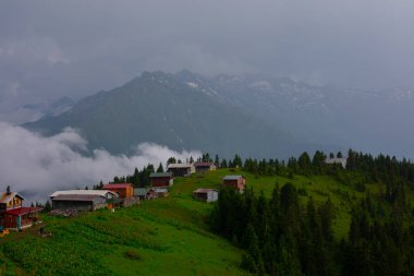 Pokut Platosu Rize Camlihemsin, Pokut Platosu Karadeniz ve Türkiye. Rize, Türkiye.
