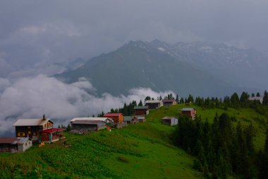 Pokut Platosu Rize Camlihemsin, Pokut Platosu Karadeniz ve Türkiye. Rize, Türkiye.