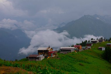 Pokut Platosu Rize Camlihemsin, Pokut Platosu Karadeniz ve Türkiye. Rize, Türkiye.