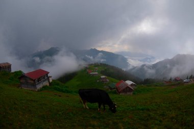 Pokut Platosu Rize Camlihemsin, Pokut Platosu Karadeniz ve Türkiye. Rize, Türkiye.