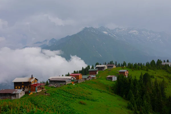 Pokut Plateau Rize Camlihemsin Pokut Plateau Чорному Морі Туреччині Ріс — стокове фото