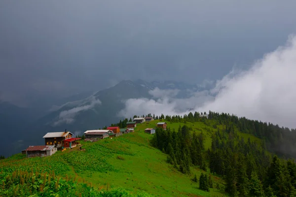 Pokut Platosu Rize Camlihemsin Pokut Platosu Karadeniz Türkiye Rize Türkiye — Stok fotoğraf