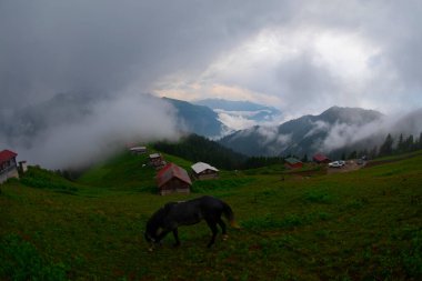 Pokut Platosu Rize Camlihemsin, Pokut Platosu Karadeniz ve Türkiye. Rize, Türkiye.