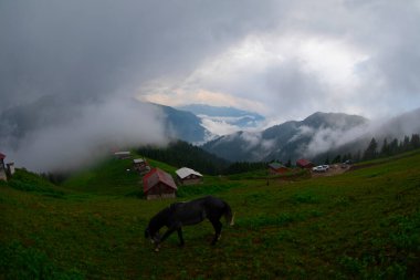 Pokut Platosu Rize Camlihemsin, Pokut Platosu Karadeniz ve Türkiye. Rize, Türkiye.