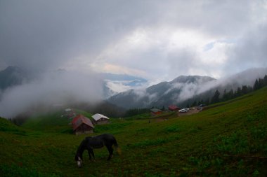 Pokut Platosu Rize Camlihemsin, Pokut Platosu Karadeniz ve Türkiye. Rize, Türkiye.