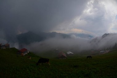 Pokut Platosu Rize Camlihemsin, Pokut Platosu Karadeniz ve Türkiye. Rize, Türkiye.