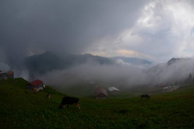Pokut Platosu Rize Camlihemsin, Pokut Platosu Karadeniz ve Türkiye. Rize, Türkiye.
