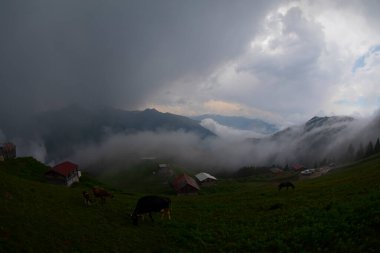 Pokut Platosu Rize Camlihemsin, Pokut Platosu Karadeniz ve Türkiye. Rize, Türkiye.