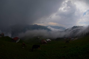 Pokut Platosu Rize Camlihemsin, Pokut Platosu Karadeniz ve Türkiye. Rize, Türkiye.