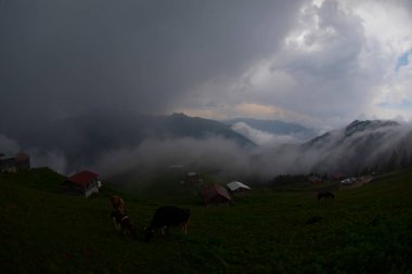 Pokut Platosu Rize Camlihemsin, Pokut Platosu Karadeniz ve Türkiye. Rize, Türkiye.