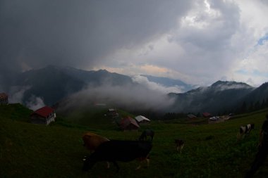 Pokut Platosu Rize Camlihemsin, Pokut Platosu Karadeniz ve Türkiye. Rize, Türkiye.